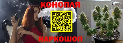 индика Рыбинск