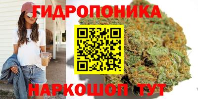 индика Рыбинск